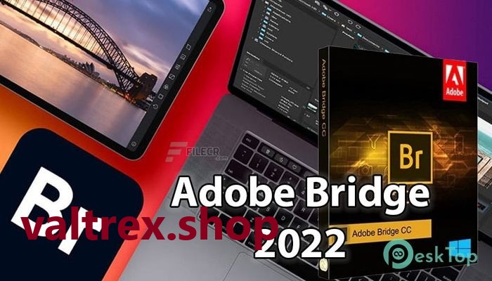 Adobe Bridge 2022 v12.0.3.270 Free Download New Version
