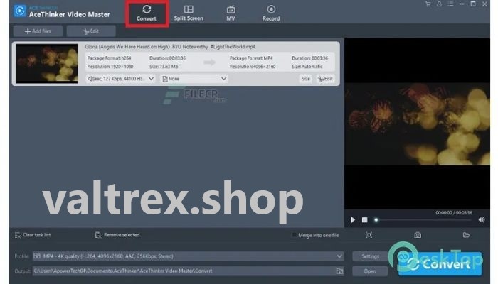 AceThinker Video Master 4.8.6.5 Free Download For Windows
