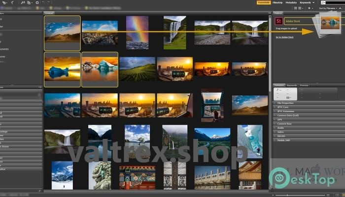 Adobe Bridge CC 2018 v8.0.1.282 Free Download All Windows